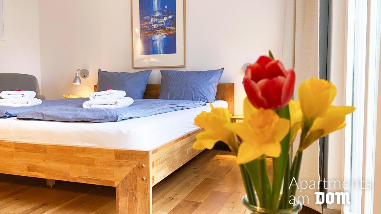 Apartments Am Dom Νάουμπουργκ Εξωτερικό φωτογραφία