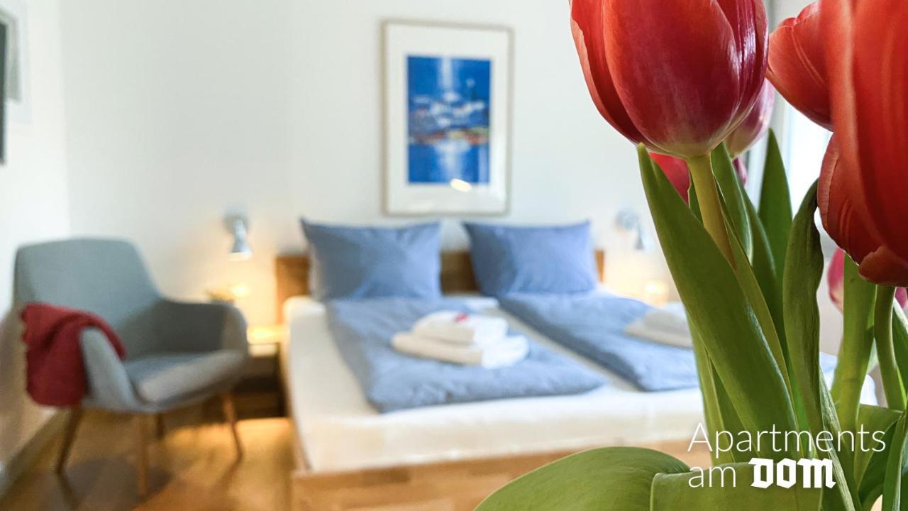 Apartments Am Dom Νάουμπουργκ Εξωτερικό φωτογραφία