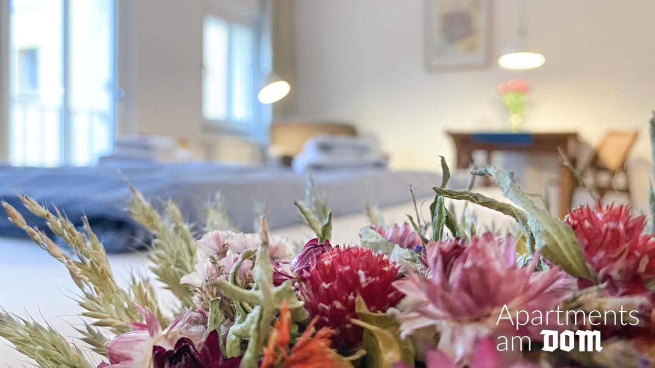 Apartments Am Dom Νάουμπουργκ Εξωτερικό φωτογραφία