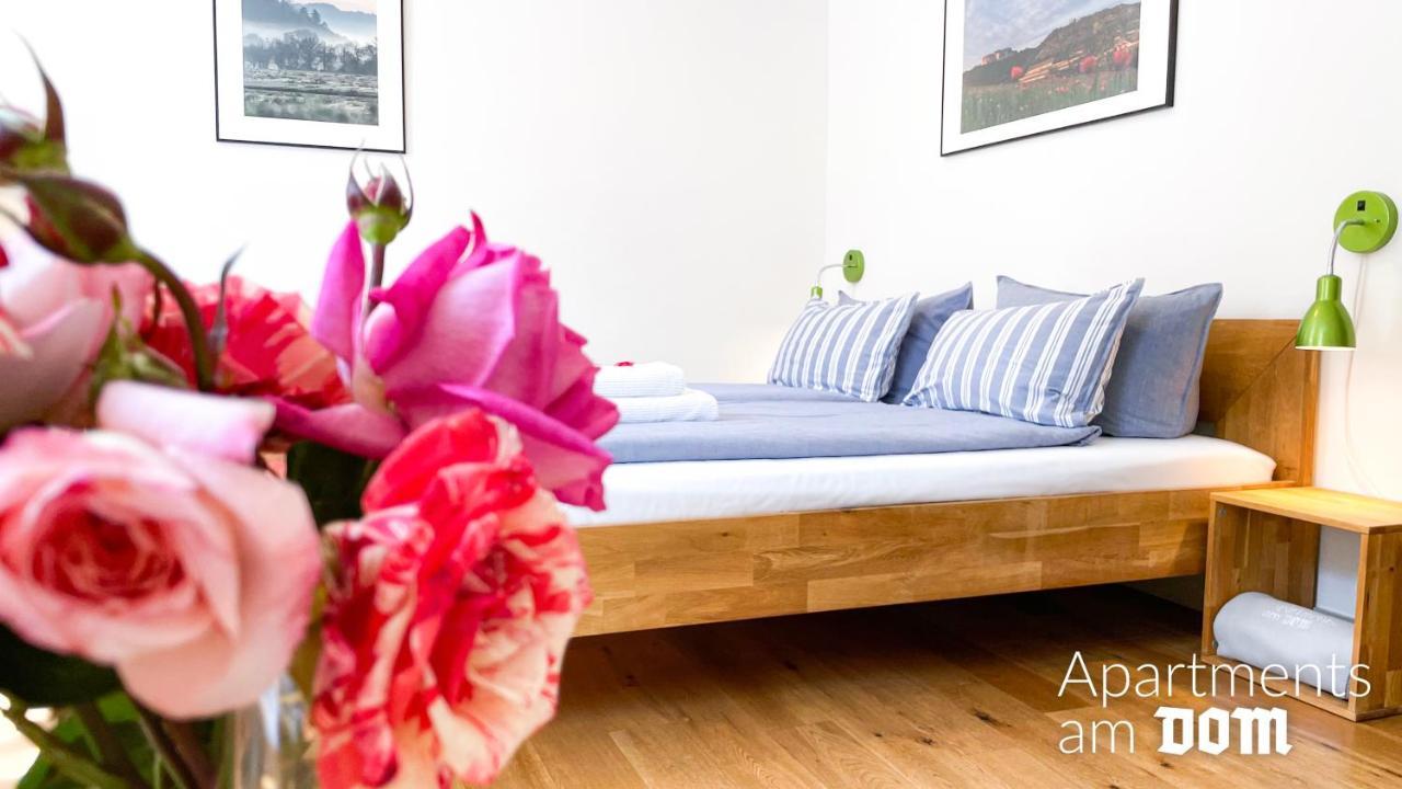 Apartments Am Dom Νάουμπουργκ Εξωτερικό φωτογραφία